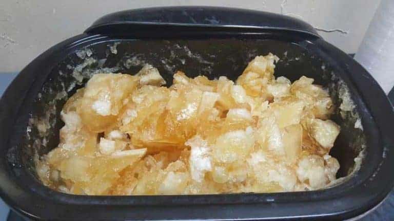 Shampoo Paste in the Pan
