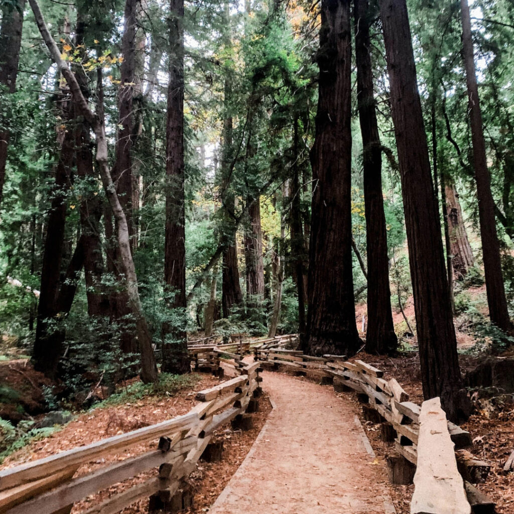 Walking is a great activity for your self-care plan.
