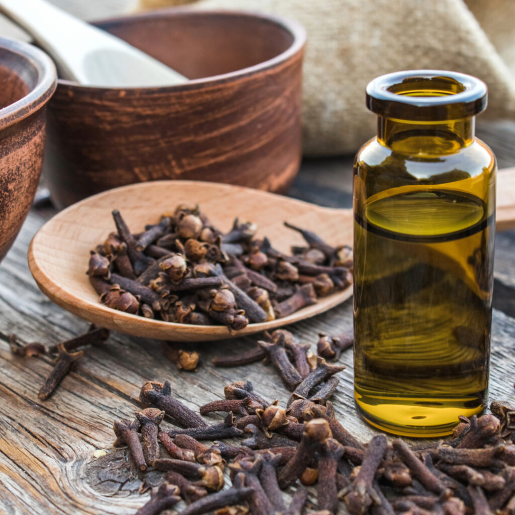 Raw clove is shown, with a vial of the essential oil next to it. Clove is one of the best essential oils to use in fall.