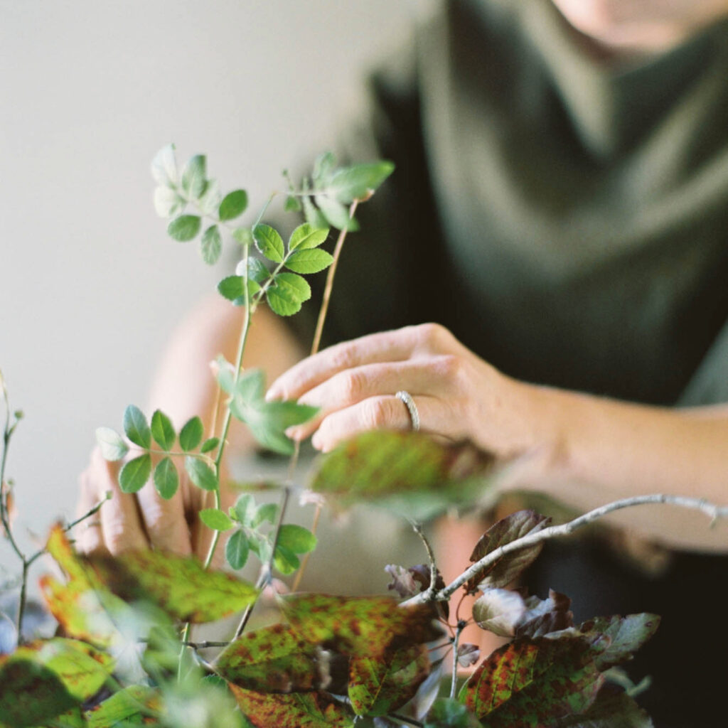 A plant with spotted orange leaves is being tended to by a gardener. The image is meant to represent embracing change