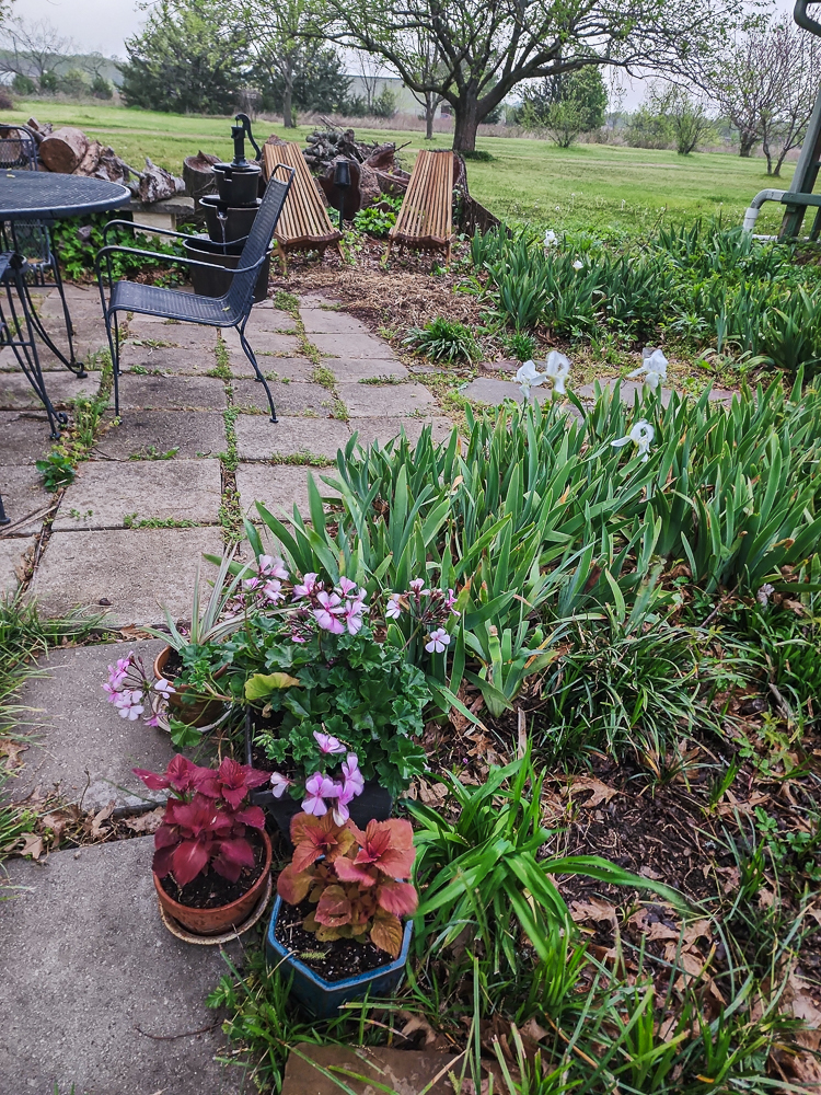 Garden Time for Susan