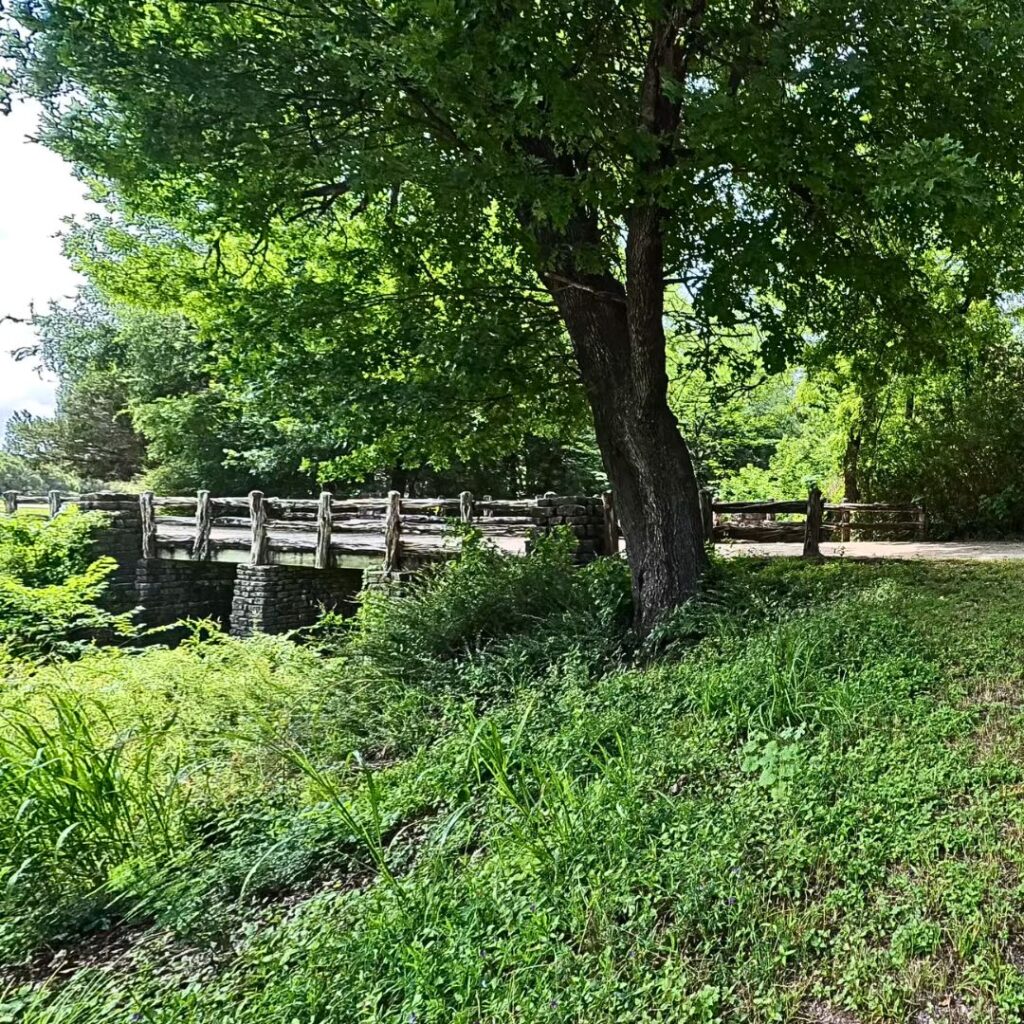 Cleburne State Park CCC Bridge